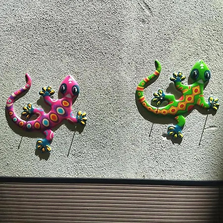 Cais Pedras Patio - With Washer And Dryer Machine Daire *